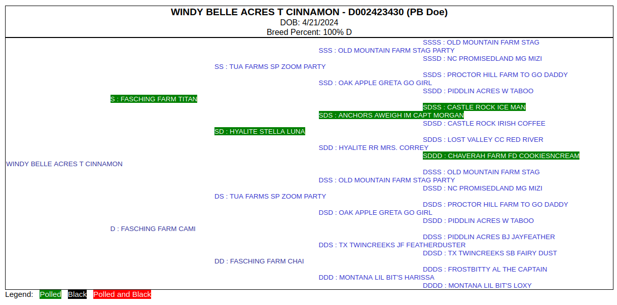Pedigree for Cinnamon