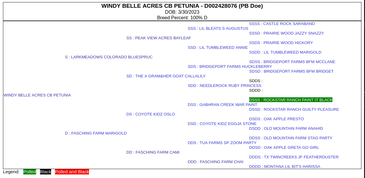 Pedigree for Petunia