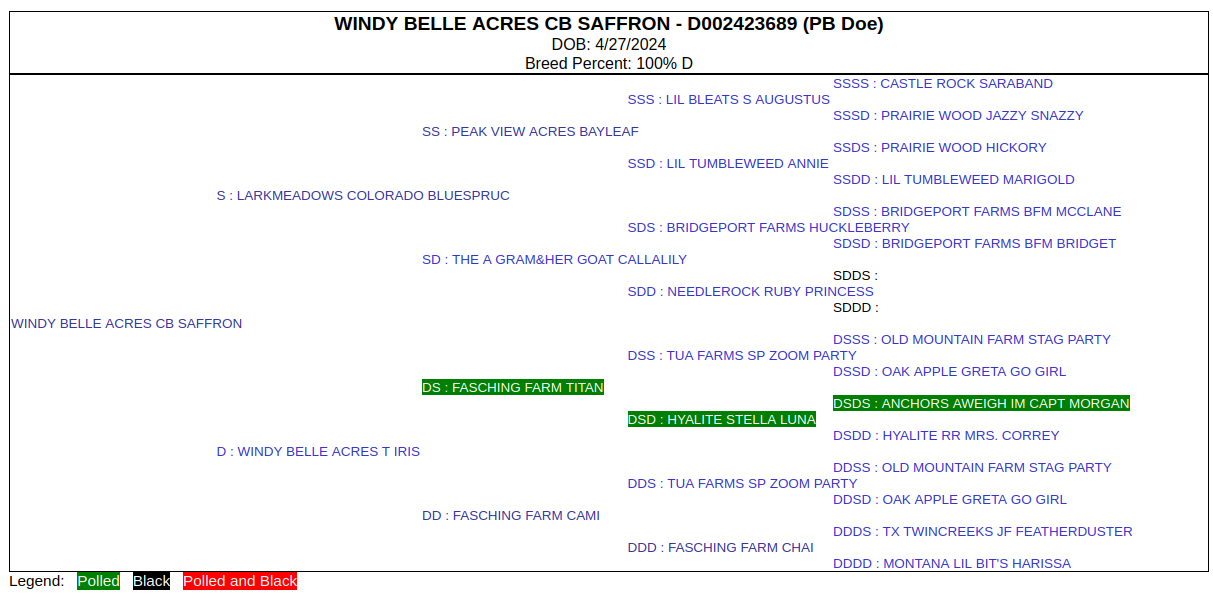 Pedigree for Saffron